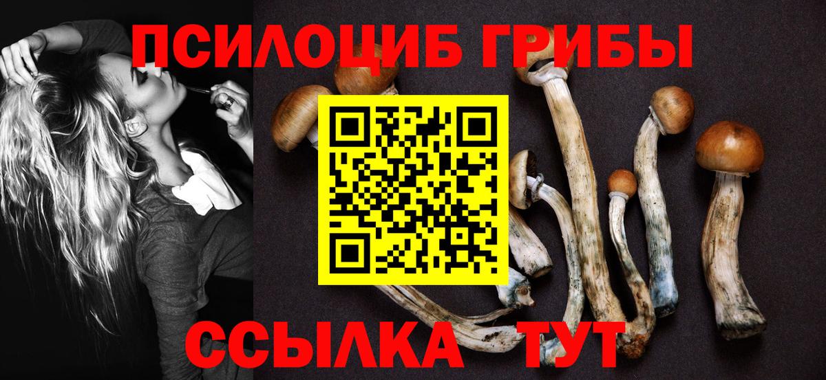 Галлюциногенные грибы Cubensis  Вход с VPN  Чапаевск 
